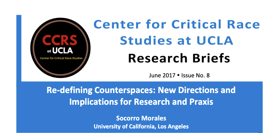 Re-defining Counterspaces CCRSE Brief Screenshot